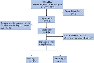 A New Clinical Nomogram From the TCGA Database to Predict the Prognosis of Hepatocellular Carcinoma